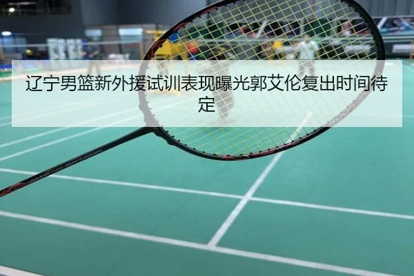辽宁男篮新外援试训表现曝光郭艾伦复出时间待定
